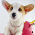Load image into Gallery viewer, Adjustable Pet Necklace Cat Dog Collar with Diamond Zircon Heart Pendant