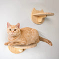 Load image into Gallery viewer, Wall-Mounted Cat Climbing Shelf with Sisal Scratching Post