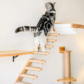 Load image into Gallery viewer, Wall-Mounted Cat Climbing Shelf with Sisal Scratching Post