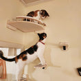 Load image into Gallery viewer, Wall-Mounted Cat Climbing Shelf with Sisal Scratching Post