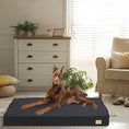 Load image into Gallery viewer, Orthopedic Dog Bed for Large Dogs with Waterproof Lining