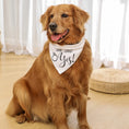 Load image into Gallery viewer, Letter Pattern Dog Wedding Bandanas - Stylish Pet Scarf for Medium and Large Dogs