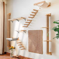Load image into Gallery viewer, Wall-Mounted Cat Climbing Shelf with Sisal Scratching Post