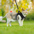 تحميل الصورة في عارض المعرض، Breathable Escape-Proof Cat Harness and Leash - Adjustable Reflective Vest for Kittens and Puppies
