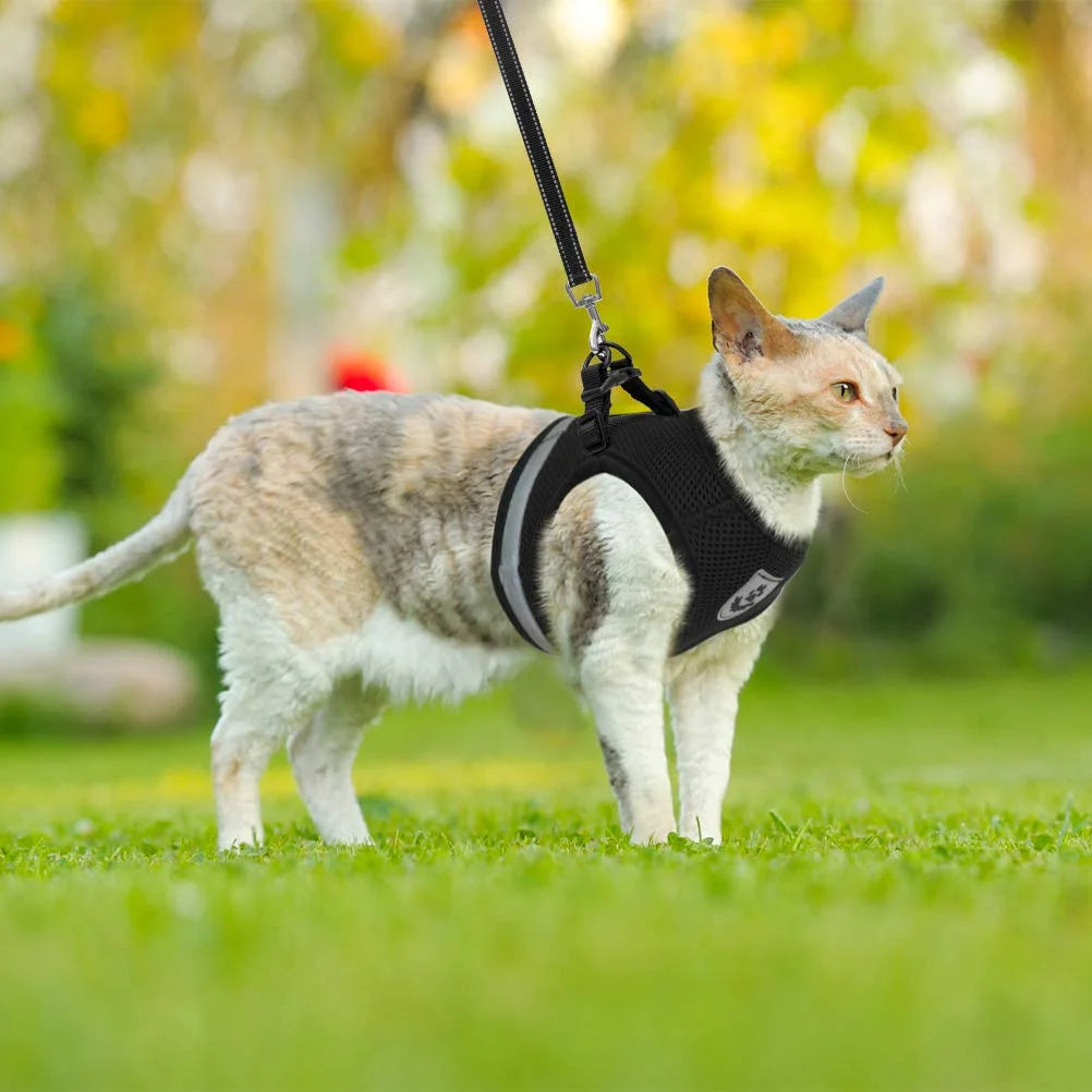 Breathable Escape-Proof Cat Harness and Leash - Adjustable Reflective Vest for Kittens and Puppies