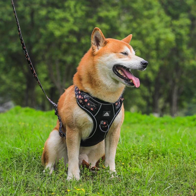 Non-Pull Tactical Style Dog Harness Leash