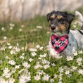 تحميل الصورة في عارض المعرض، Adopt Me Dog Bandanas: مجموعة وشاح منقوشة للكلاب والقطط والحيوانات الأليفة 
