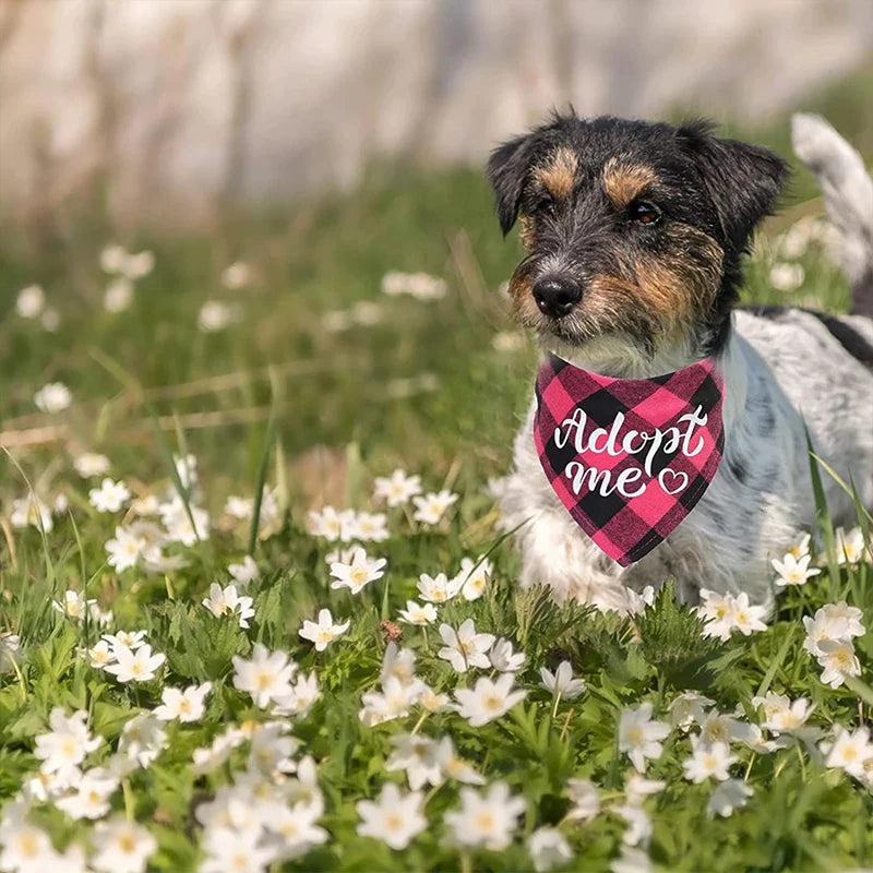 Adopt Me Dog Bandanas: مجموعة وشاح منقوشة للكلاب والقطط والحيوانات الأليفة 