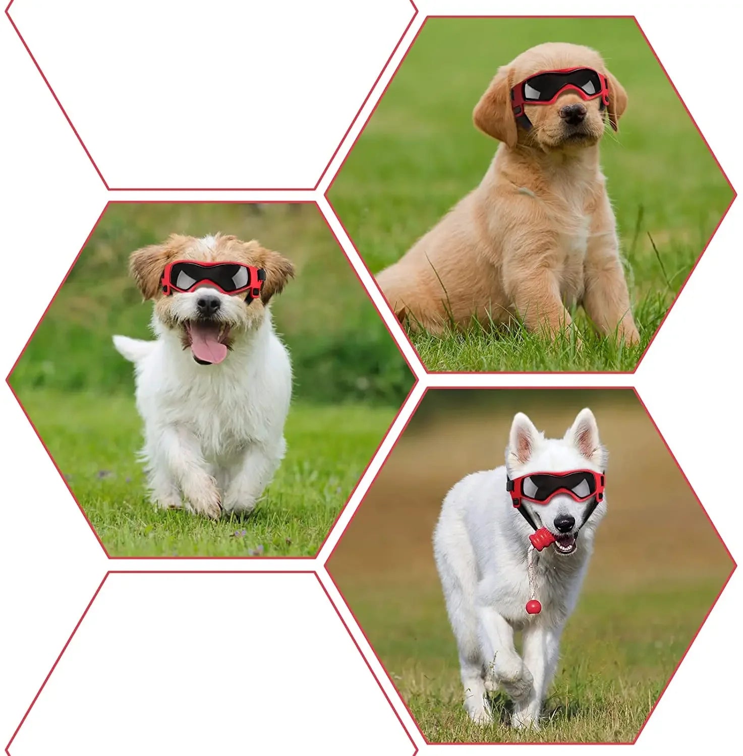 ATUBAN Dog Goggles - UV Protection Sunglasses with Adjustable Strap for Small to Medium Dogs