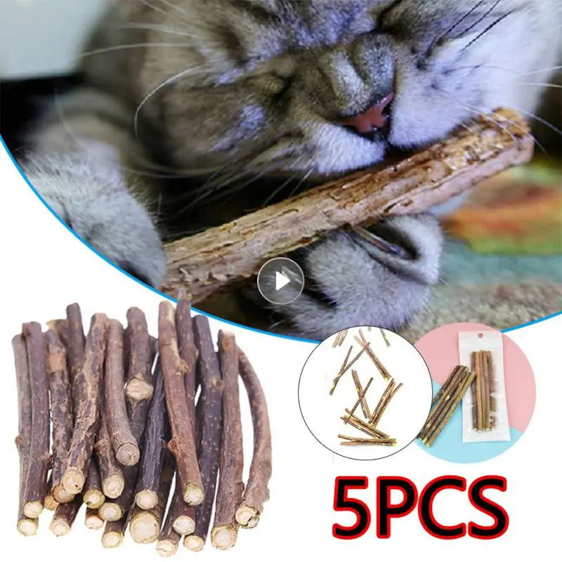 Natural Polygonum Catnip Stick: The Ultimate Cat Dental Care and Play Toy