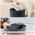 Load image into Gallery viewer, Provide Fresh Water for Your Pet with the 3L Cat Water Fountain
