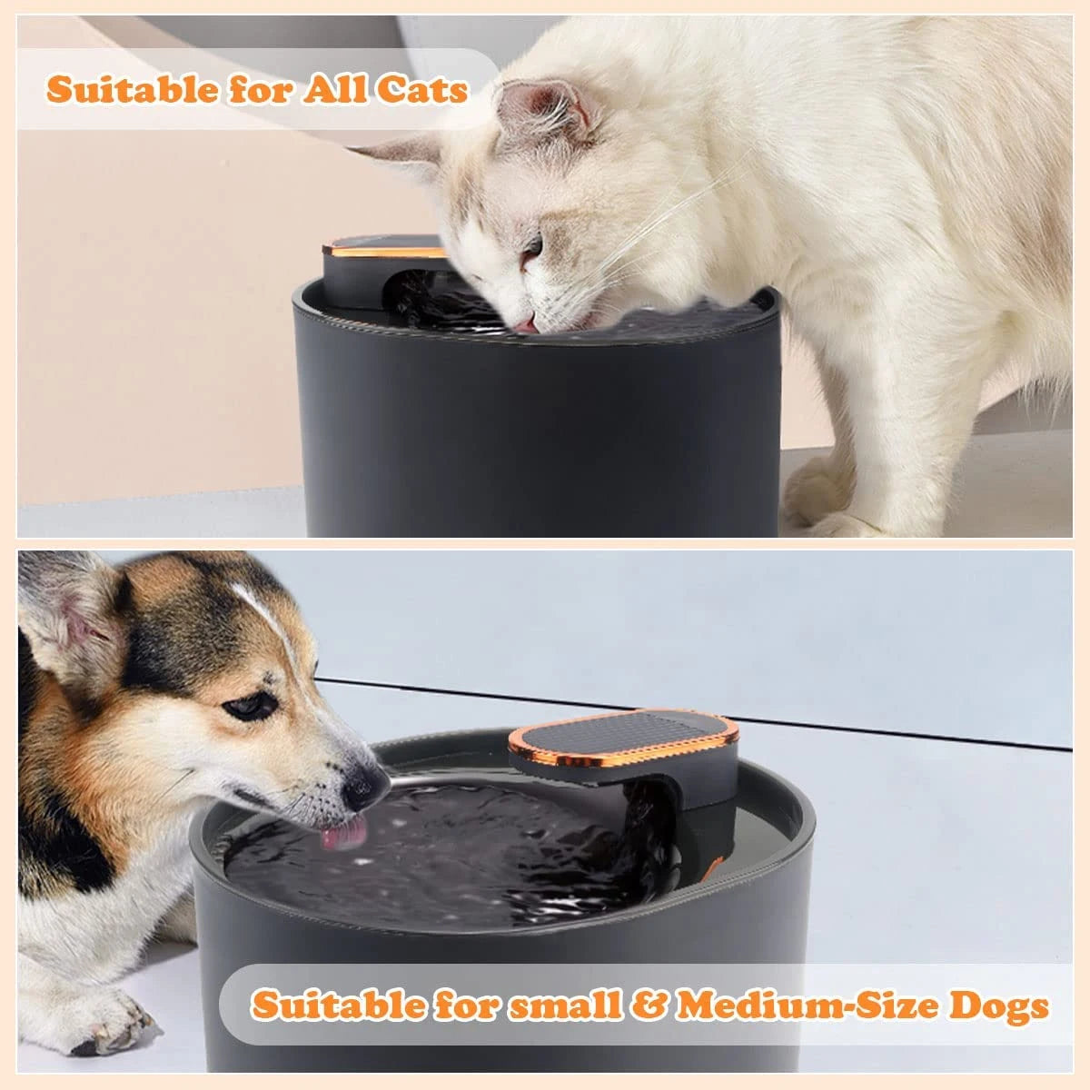 Provide Fresh Water for Your Pet with the 3L Cat Water Fountain