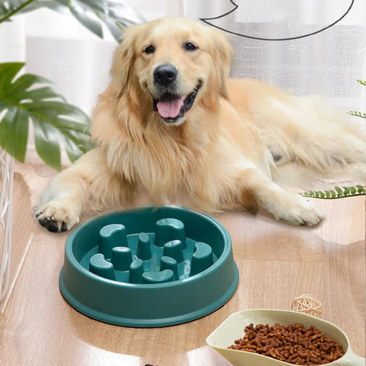 Slow Feeder Bowl for Dogs - Anti-Gulping Pet Food Dish