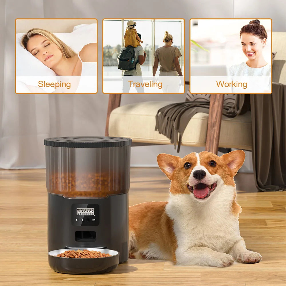 Autofeder 4L Smart Automatic Pet Feeder - Battery-Powered with LCD Display and Stainless Steel Bowl