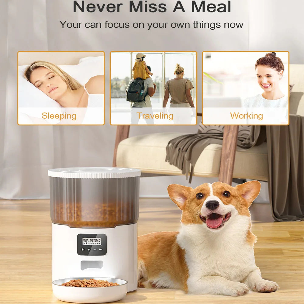 Autofeder 4L Smart Automatic Pet Feeder - Battery-Powered with LCD Display and Stainless Steel Bowl